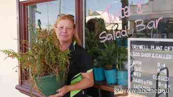 Power play: Northampton businesses want action over outages