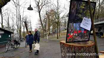 So will eine Bürgerinitiative in Erlangen die Bäume auf dem Gelände der Bergkirchweih retten - Nordbayern.de