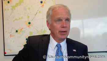 Senate candidate Nelson slams Ron Johnson for going back on promise not to run - kaukaunacommunitynews.com