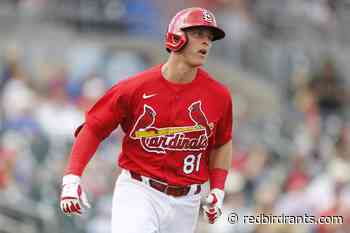 Rumors linking Nelson Cruz to St. Louis Cardinals make little sense - Red Bird Rants