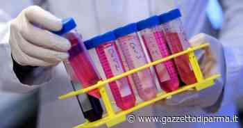 Covid, individuata a Cipro una variante "Deltacron" - Gazzetta di Parma