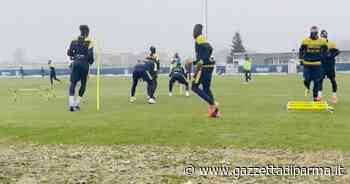 Parma, continua al ricerca di una punta. Mancuso, Torregrossa e Farias in cima alla lista - Video - Gazzetta di Parma
