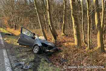 Auto botst frontaal op truck op Herentalsesteenweg - Het Nieuwsblad