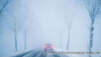 Stromausfall nach Unfall - Schneeböe im Auto - 22-Jährige prallt in Balingen gegen Verteilerkasten - Schwarzwälder Bote