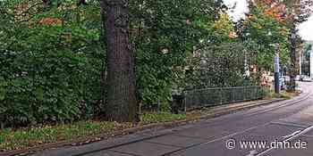 Dresden: Sperrung der Berthold-Haupt-Straße für Autos und Straßenbahn - Dresdner Neueste Nachrichten