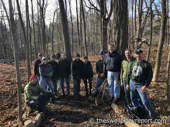 Rediscovering Patch of Woods trail in Wellesley - The Swellesley Report