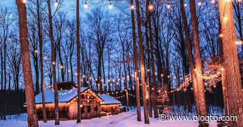 Nature trail near Toronto has transformed into a winter wonderland with twinkly lights - blogTO