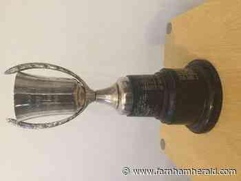 Get your nominations in now for Farnham Sports Awards - Farnham Herald