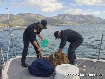 Controlli serrati nel sud Pontino: sette denunce e decine di perquisizioni - latinaoggi.eu