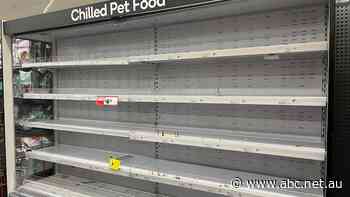 Two to three weeks of supermarket supply disruptions ahead, says Woolworths boss