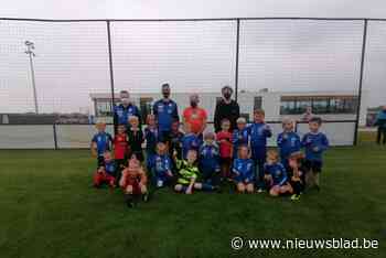 Gratis vrijdagavondtrainingen op KFC Nijlen zijn groot succes - nieuwsblad.be