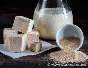 Research provides new insights on the architecture of yeast nuclear pore complex - News-Medical.net