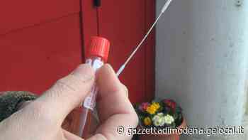 Rapidi, molecolari e a breve i fai-da-te - Gazzetta di Modena