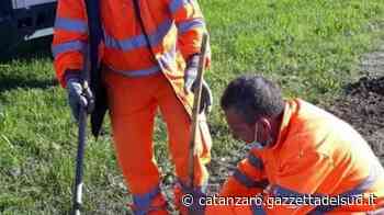 Aree verdi e spazi pubblici urbani, il Comune di Crotone riorganizza il comparto - Gazzetta del Sud - Edizione Catanzaro, Crotone, Vibo