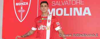 Calcio, amichevole per il Monza contro l'Alessandria. Mercato: dal Crotone è arrivato Molina - Il Cittadino di Monza e Brianza