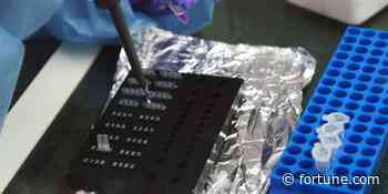 Should you be worried about ‘Deltacron’? What to know about claims of a new COVID variant combining Delta and Omicron - Fortune