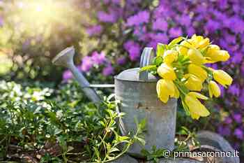 Costo energia minaccia le serre del Varesotto - Prima Saronno