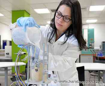 Glasgow's Mackenzie in bid to cut waste from road construction | HeraldScotland - HeraldScotland