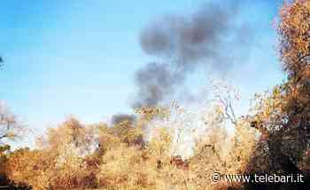 Bari, nube nera dalle campagne di Catino: a fuoco rifiuti abbandonati - Telebari