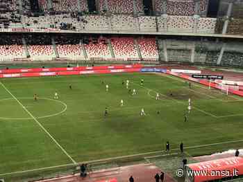 Calcio:Bari congela campagna abbonamenti per contenere Covid - Puglia - Ansa