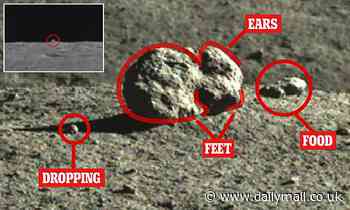 'Mystery hut' on the Moon is a rabbit-shaped rock, scientists reveal 