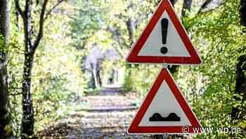 Siegen: Erste Baumfällungen am Siegdeich in Niederschelden - WP News