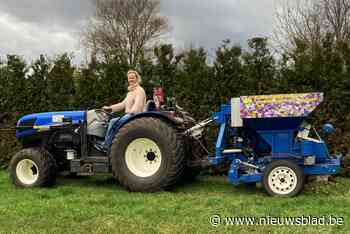 Teler plant 250.000 bloembollen voor meer biodiversiteit en… als openbare showroom