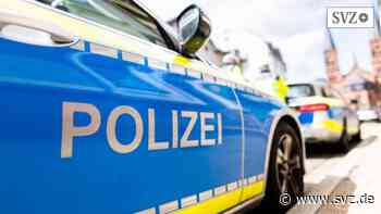 Spielzeugpistole gestohlen: Polizei ermittelt gegen 17-Jährigen aus Parchim | svz.de - svz – Schweriner Volkszeitung