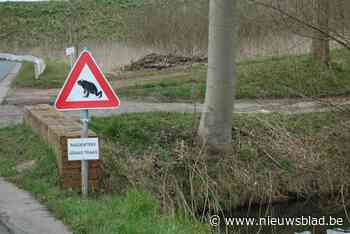 Red jij mee het leven van de Bornemse padden?