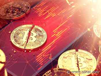 In just a week, my Bitcoin 'investment' plummeted by almost 14%