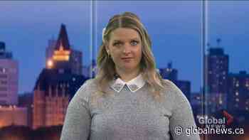 BROLL Camping Stox 2