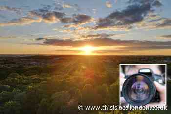 Share your pictures of East London and Epping Forest in Guardian Camera Club