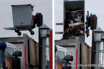 Animal Rights toont beelden Bocholtse vogelopruiming: “Zonder houderijen geen vogelgriep”