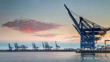 „Wunden“ durch Brexit und Corona – britische Firmen bangen um ihre Zukunft