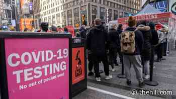 Congressional Democrats press Biden to expand rapid COVID-19 testing