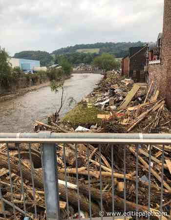Gemeenten PEPINGEN BEVER HERNE en GALMAARDEN verlenen hulp aan slachtoffers - Editiepajot