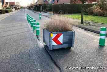 Paaltjes en later planten moeten verkeer in Stommehoevestraat aan banden leggen