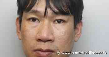 'Gardener' connected to £1.4m cannabis grow in castle among South West criminals jailed in December - Somerset Live