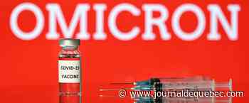 Un vaccin de Pfizer adapté à Omicron sera prêt en mars