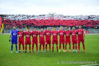 Ancona Matelica, due giocatori positivi - Cronache Ancona
