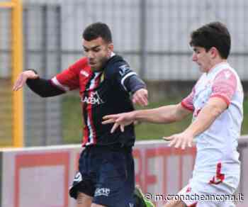 Ancona Matelica non sa più vincere, a Gubbio arriva un altro pareggio - Cronache Ancona