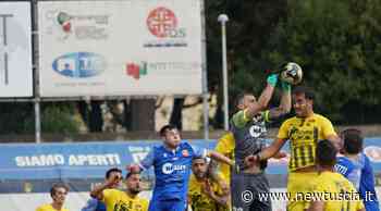 La Viterbese pareggia per 2-2 contro l'Ancona-Matelica, ottima prova dei gialloblù | Newtuscia Italia - NewTuscia