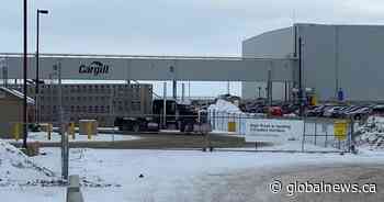 Potentially growing COVID-19 outbreak at High River Cargill meatpacking plant