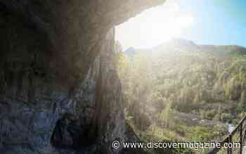 DNA in Unlikely Places Helps Piece Together Ancient Humans' Family Trees