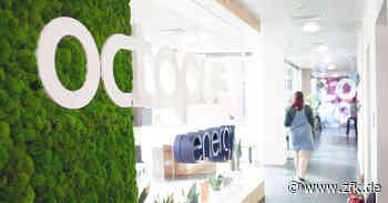 Octopus, Ostrom und die Energiekrise: Zeitung für kommunale Wirtschaft - Zeitung für kommunale Wirtschaft