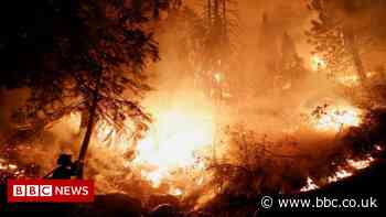 Past seven years hottest on record - EU satellite data