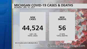 Michigan Health Officials Report 44524 Coronavirus Cases, 56 Deaths - 9 & 10 News - 9&10 News