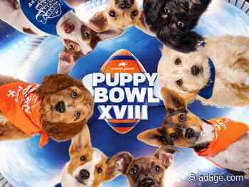 The ‘Puppy Bowl’ is issuing NFTs