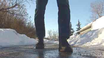 From snails to snow: Why homeowners aren't liable for slips on icy sidewalks