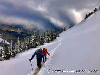 Travel: Quaint mountain lodge tucked away in BC’s Selkirk Mountains - Red Deer Advocate
